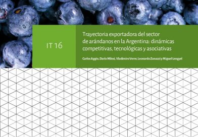 IT16: Trayectoria exportadora del sector de arándanos en la Argentina: dinámicas competitivas, tecnológicas y asociativas