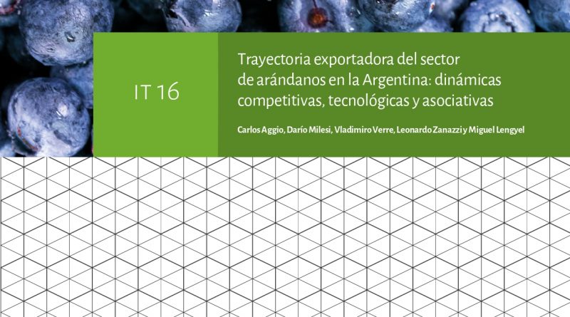 IT16: Trayectoria exportadora del sector de arándanos en la Argentina: dinámicas competitivas, tecnológicas y asociativas